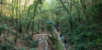 Alla scoperta dell'Acquedotto di Colognole