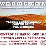 wild di cecina