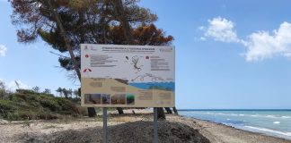 spiaggia ecologica