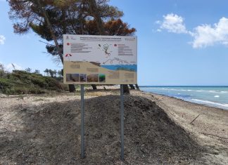 spiaggia ecologica