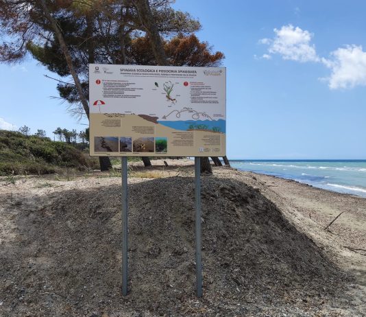 spiaggia ecologica