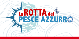 La rotta del pesce azzurro