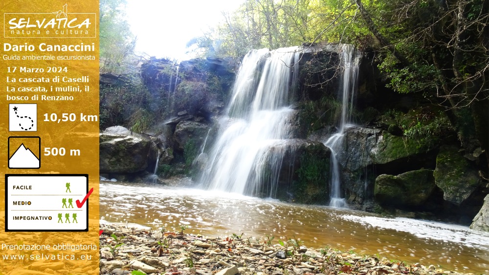 Escursione alla Cascata di Caselli e al Bosco di Renzano