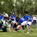 rugby rosignano