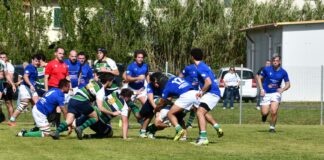 rugby rosignano