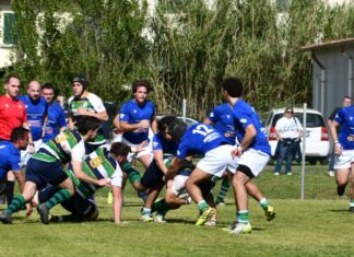 rugby rosignano