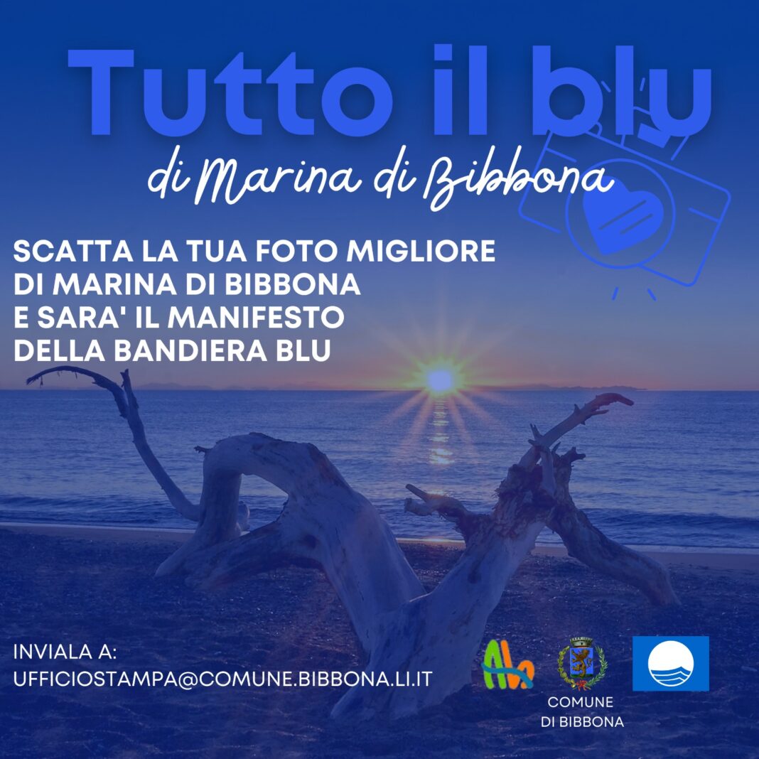 Tutto il blu di Marina di Bibbona