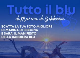 Tutto il blu di Marina di Bibbona