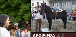 agrifiera