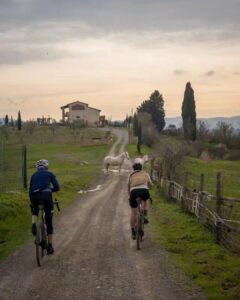 Terre di Pisa Bike Trail