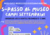 Campi settembrini Museo