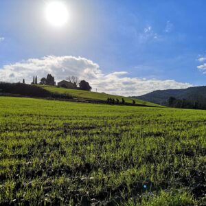 Puliamo i sentieri: Parco di Camaiano e Poggio Pelato