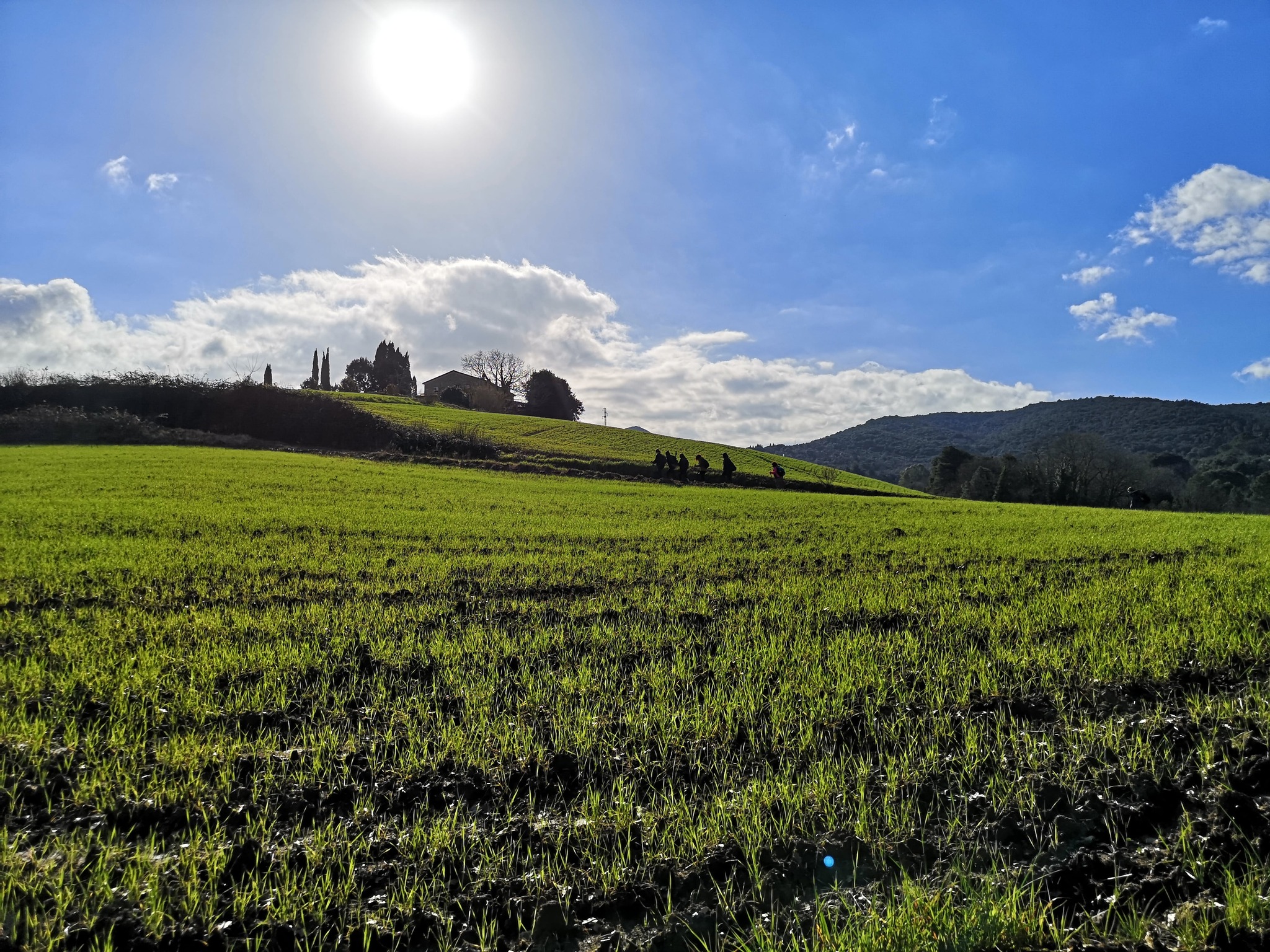 Puliamo i sentieri: Parco di Camaiano e Poggio Pelato