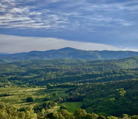 terre di walfredo