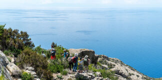 Escursione Isola di Montecristo