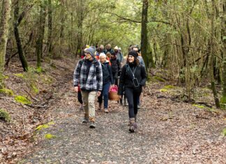 riparbella trekking